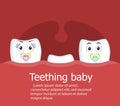 Teething baby banner with teeth