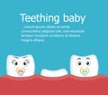 Teething baby banner with teeth