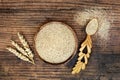 Teff Grain Highly Nutritious Health Food Royalty Free Stock Photo