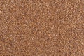 Teff grain Royalty Free Stock Photo