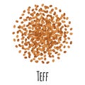 Teff for template farmer market design, label and packing. Natural energy protein organic super food Royalty Free Stock Photo