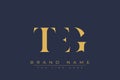 TEG abstract letter logo design Royalty Free Stock Photo