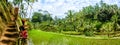 Tegalalang Rice Terraces,bali 5