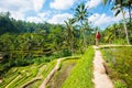 Tegalalang Rice Terraces in Ubud, Bali, Indonesia