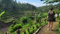 Tegalalang rice terraces in Ubud, Bali