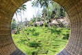 Tegalalang rice terraces in Ubud, Bali