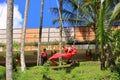 Tegallalang, Bali, Indonesia - January 31 2024: beautiful people swing at rice field