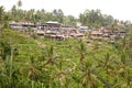 The terraced rice fields and the village. Tegallalang. Gianyar regency. Bali. Indonesia