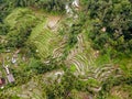 Tegallalang rice terrace in Ubud, Bali, Indonesia Royalty Free Stock Photo