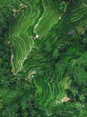 Top Down Aerial View of Tegallalang Rice Terrace, Ubud, Bali, Indonesia Royalty Free Stock Photo