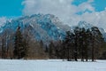 Tegelberg and Neuschwanstein castle from the Schwa