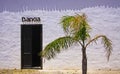 Closeup of isolated white house wall, palm tree, wood door with logo lettering of spanish bankia bank branch