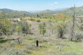 Tehachapi Loop tracks