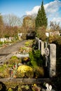 View of decorated graves before All Saints` day