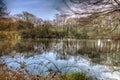 Tehidy Country Park Cornwall England UK near Camborne and Redruth with woodland and lakes in HDR