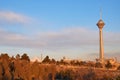 Tehran cityscape and Milad Tower , Damavand in horizon