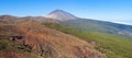Teide and La Orotava forest Royalty Free Stock Photo