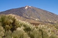 Teide Royalty Free Stock Photo