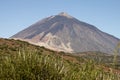 Teide Royalty Free Stock Photo