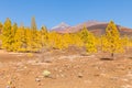 Teide National Park panormaa from the valley with sun Royalty Free Stock Photo