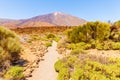 Teide National Park pathway Royalty Free Stock Photo