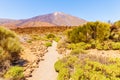 Teide National Park pathway