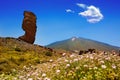 Teide National Park Roques de Garcia in Tenerife