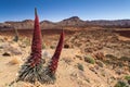 Teide National Park