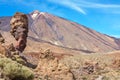 Teide National Park. Tenerife, Canary Islands, Spain