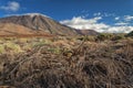 Teide National Park, Tenerife, Canary Islands, Spain