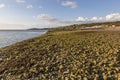 The Teifi Estuary Royalty Free Stock Photo