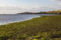 The Teifi Estuary Royalty Free Stock Photo