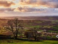 The Teifi River And Valley Near Llandewi Brefi Wales