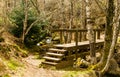 Teixedelo stream and wooden bridge in spring. El Tejedelo Forest. Requejo from Sanabria. Zamora. Spain.