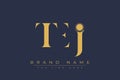 TEJ abstract letter logo design Royalty Free Stock Photo