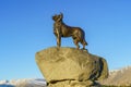 Tekapo / New Zealand, April 6 2019 ; New Zealand Collie sheepdog monument