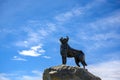 The Sheepdog Memorial on a clear, blue and cloudy day in summer season at Lakeside Tekapo