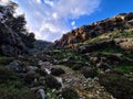 Tekoa stream after the rain in Gush Etzion Israel