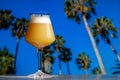 Teku Glass Hazy IPA Craft Beer Palm Trees Blue Sky Royalty Free Stock Photo