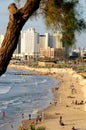 Tel Aviv beach.