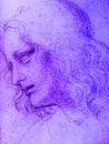 Drawing of St. PhilipÃ¢â¬â¢s head - by Leonardo Da Vinci. Copy