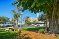 Big ficus tree right and Marganit Tower centre, Tel Aviv, Israel Royalty Free Stock Photo