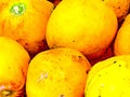 Tel Aviv large papaya on bazaar Royalty Free Stock Photo