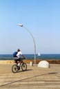 Tel Aviv port promenade, urban tree design