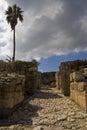 Tel Megiddo