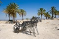 Tel Megiddo National park