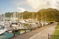 Telaga Habour Park and Marina. Royalty Free Stock Photo