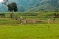 Telaga Saat Puncak Cisarua Bogor Indonesia