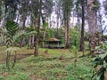 Telaga Sunyi, a popular lake and natural tourist spot in Baturaden, Banyumas, Central Java Royalty Free Stock Photo