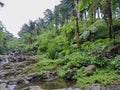 Telaga Sunyi, a popular lake and natural tourist spot in Baturaden, Banyumas, Central Java Royalty Free Stock Photo